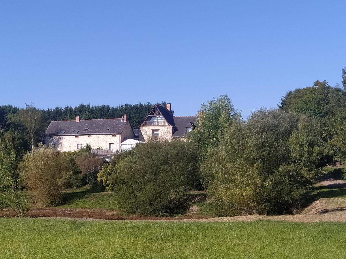 Gite La Pironniere - Piscine, Nature, Au Bord De La Riviere Montreuil-sur-Maine 外观 照片