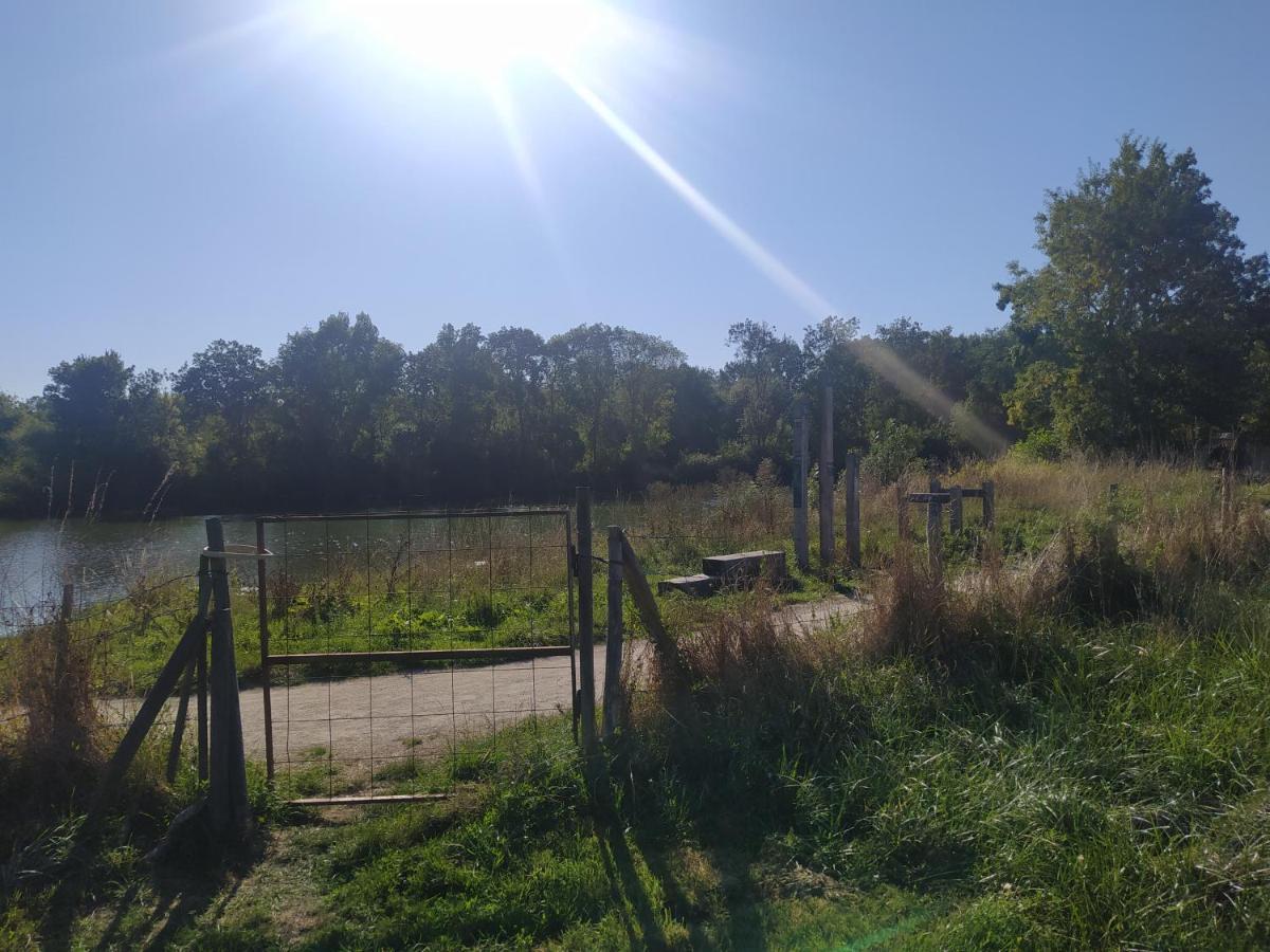 Gite La Pironniere - Piscine, Nature, Au Bord De La Riviere Montreuil-sur-Maine 外观 照片
